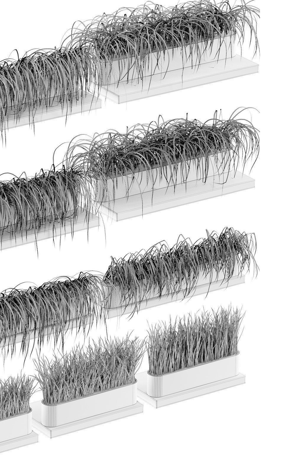 Grass on the shelves of 13 models 3D model_4