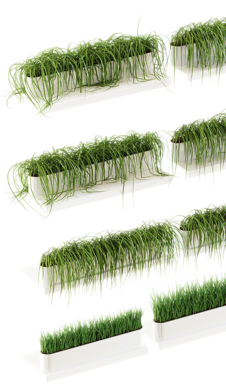 Grass on the shelves of 13 models 3D model_2