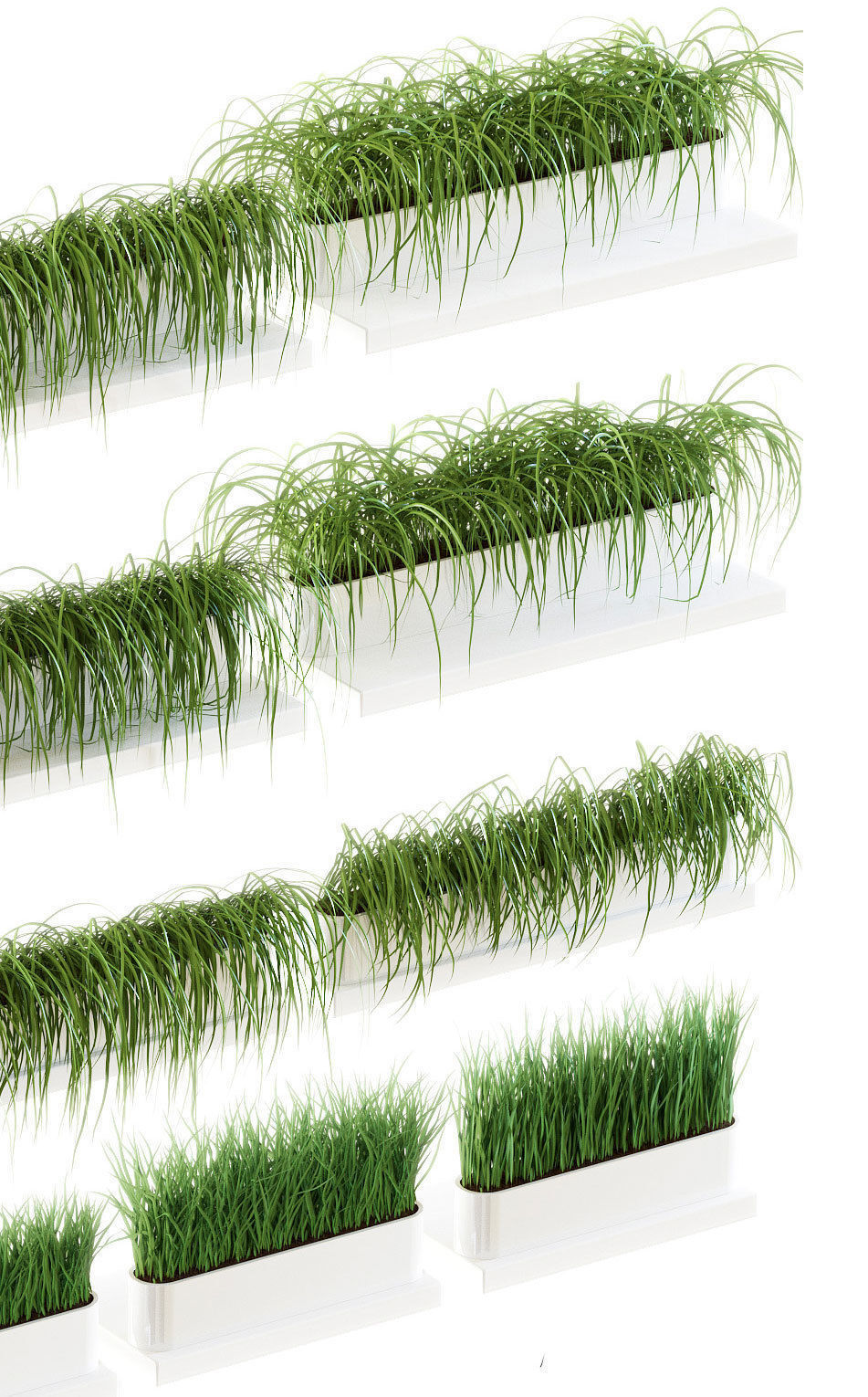 Grass on the shelves of 13 models 3D model_3