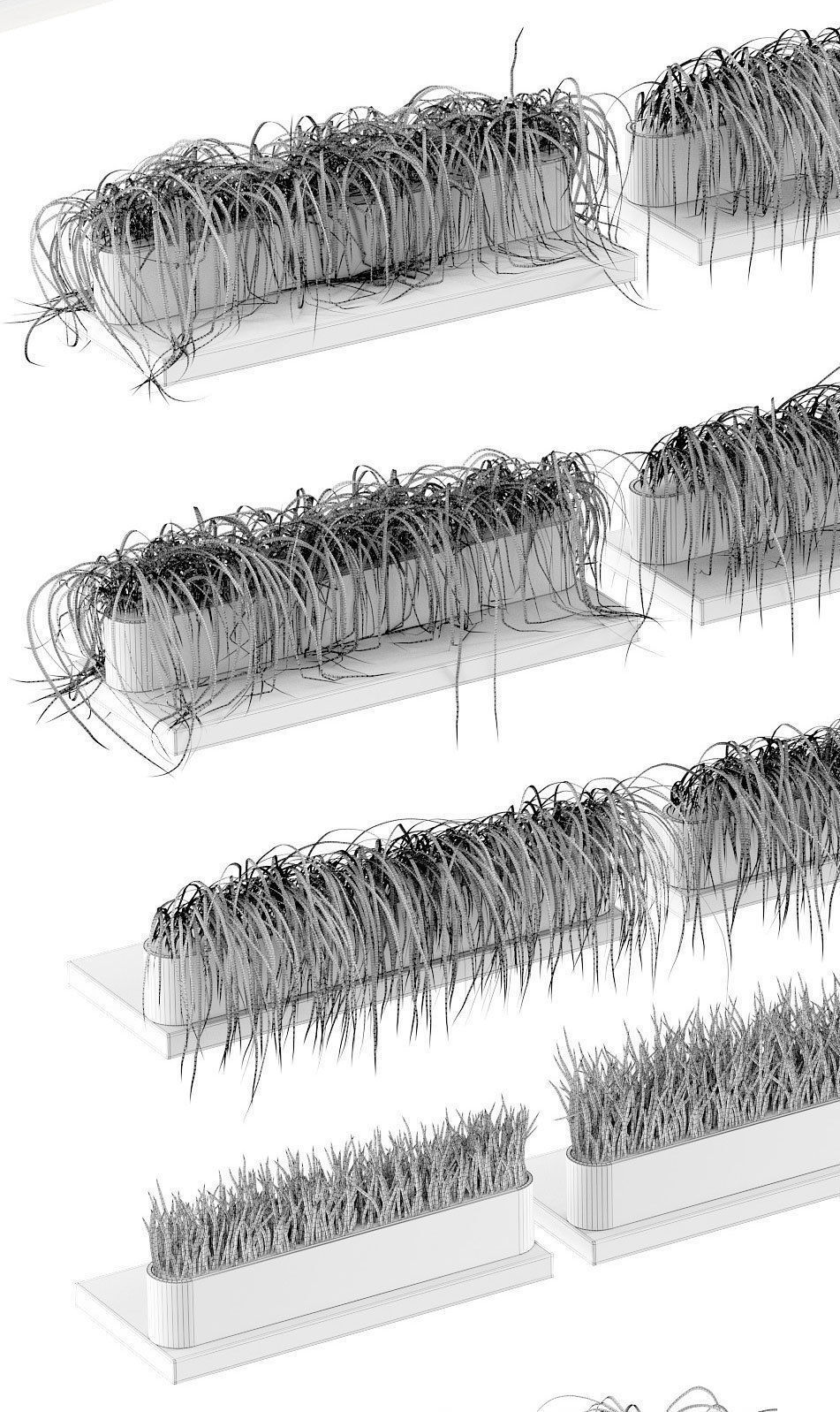 Grass on the shelves of 13 models 3D model_1