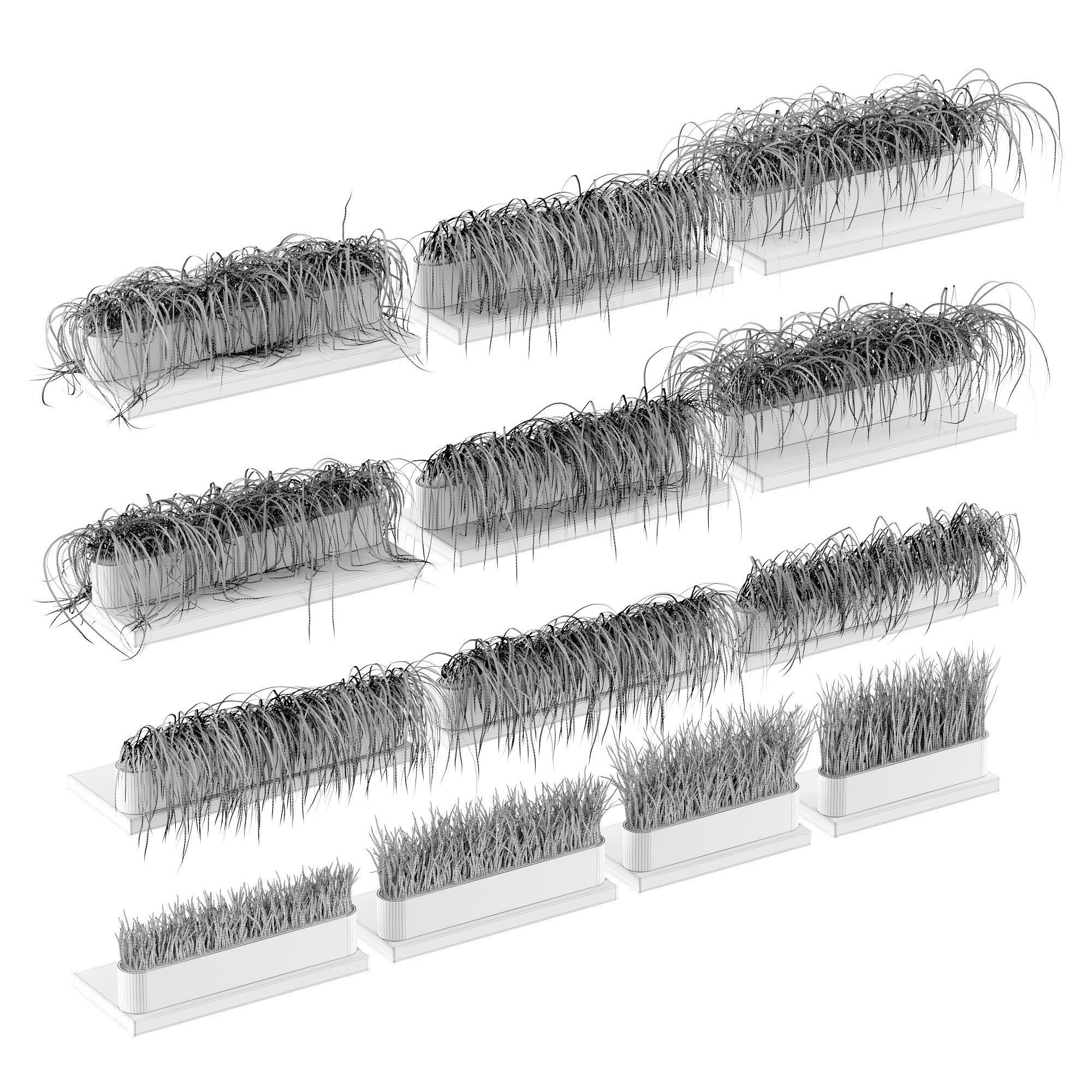 Grass on the shelves of 13 models 3D model_5