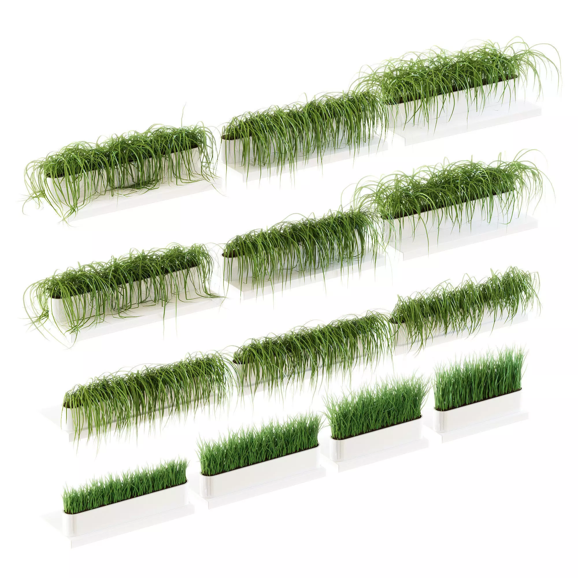 Grass on the shelves of 13 models 3D model_0