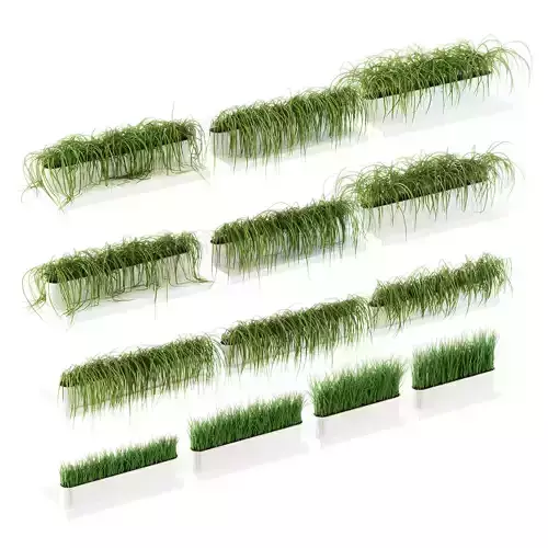 Grass on the shelves of 13 models