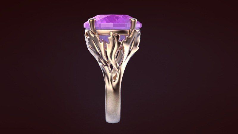 Pack ring 2 3D print model_14