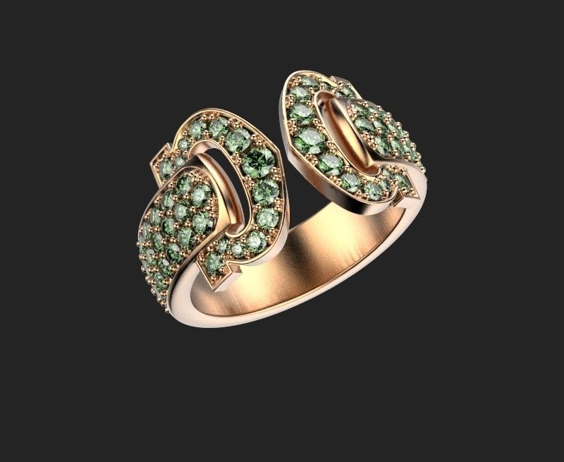Pack ring 2 3D print model_25