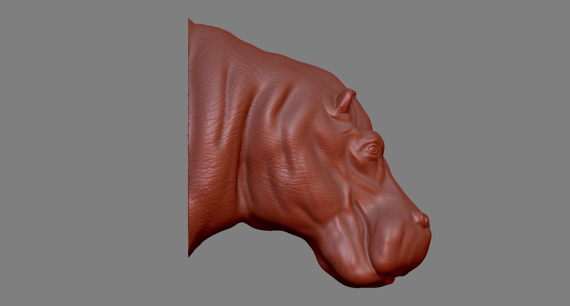 Hippopotamus Head 3D print model_4