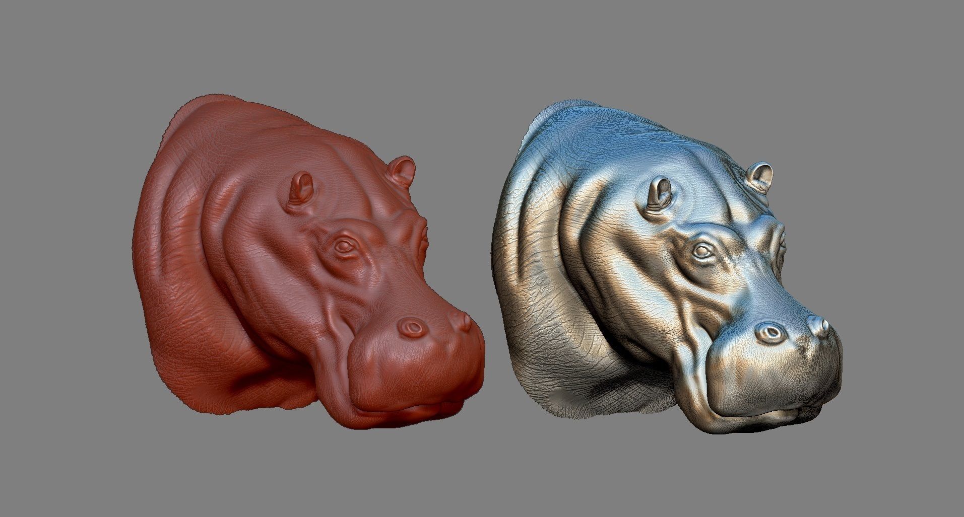 Hippopotamus Head 3D print model_9