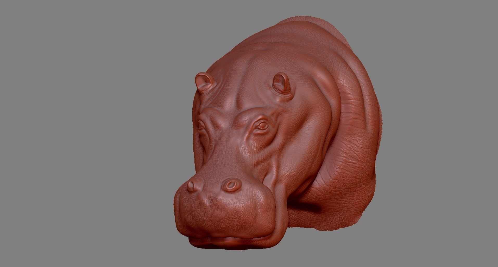 Hippopotamus Head 3D print model_6