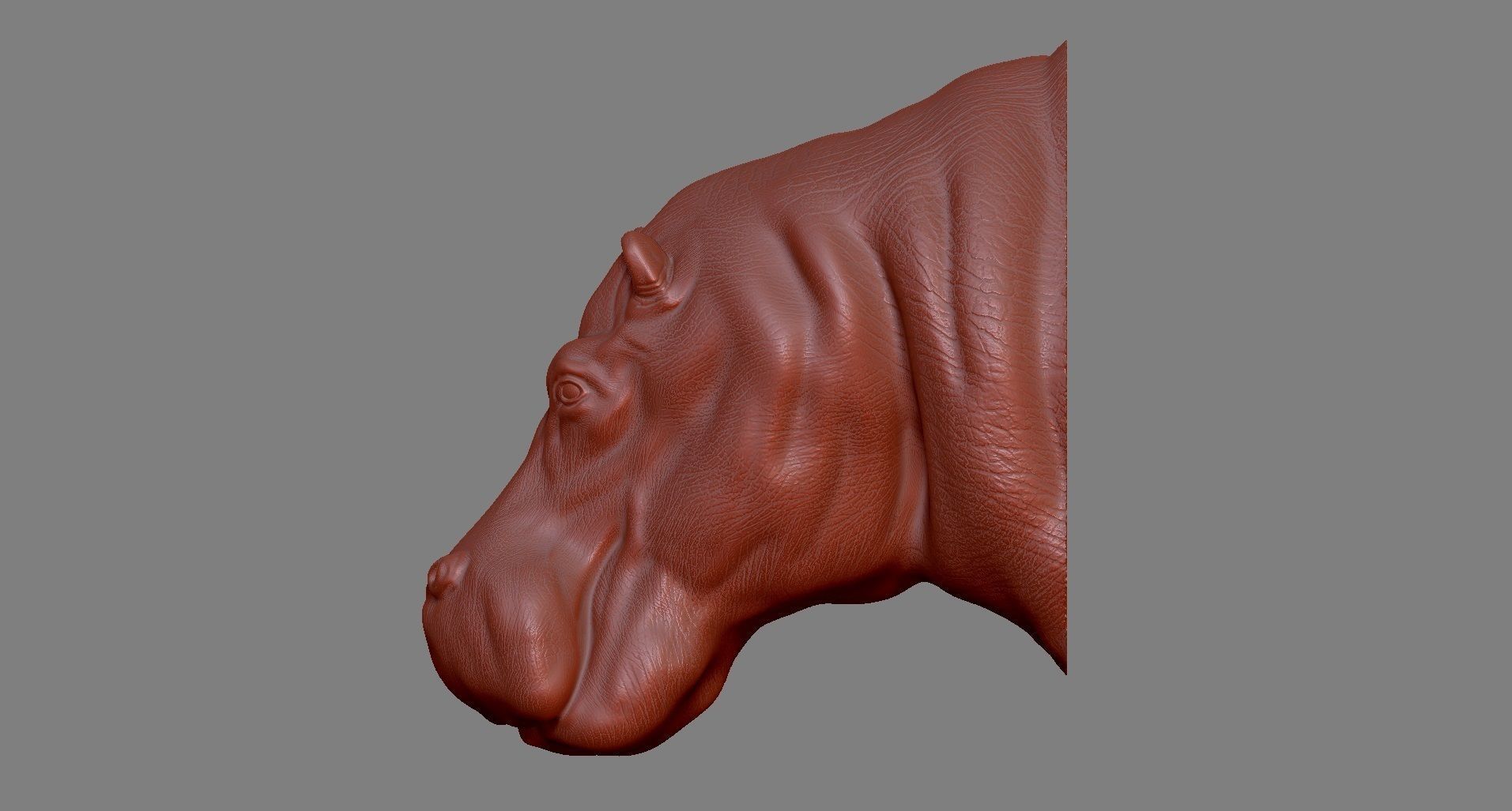 Hippopotamus Head 3D print model_3