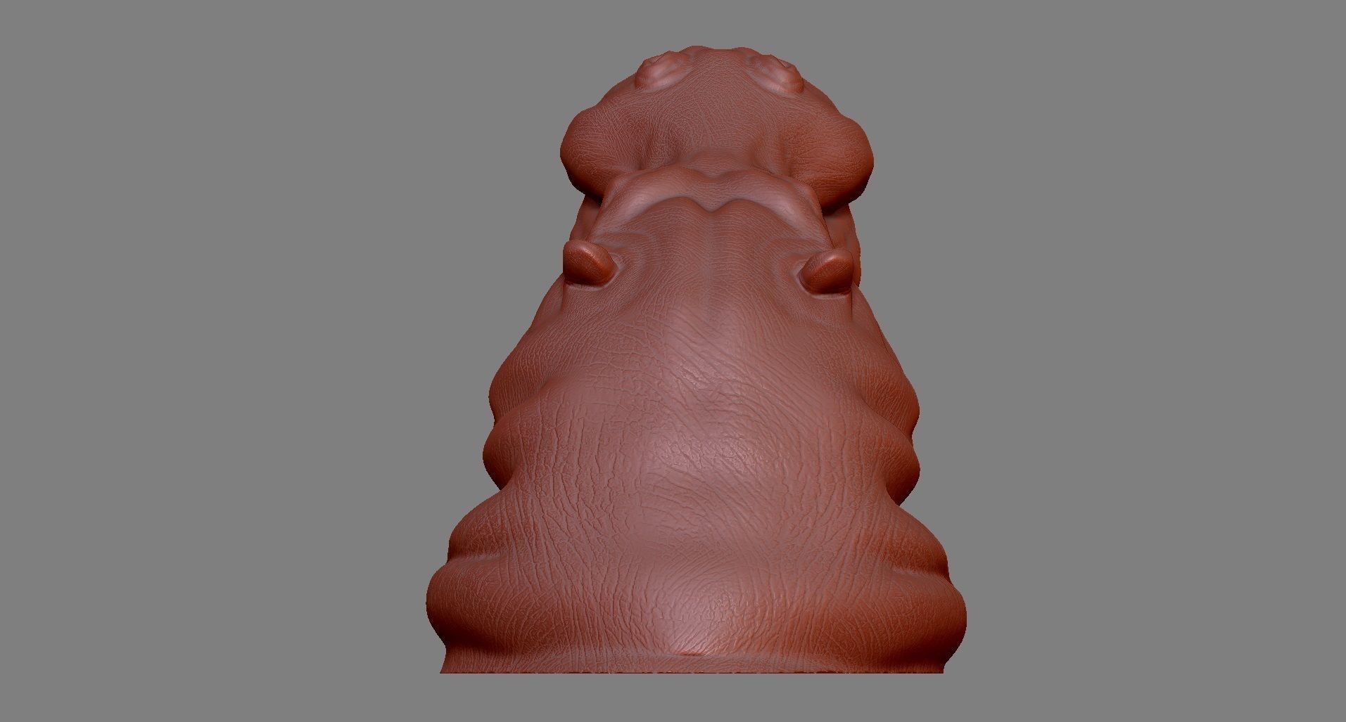 Hippopotamus Head 3D print model_5
