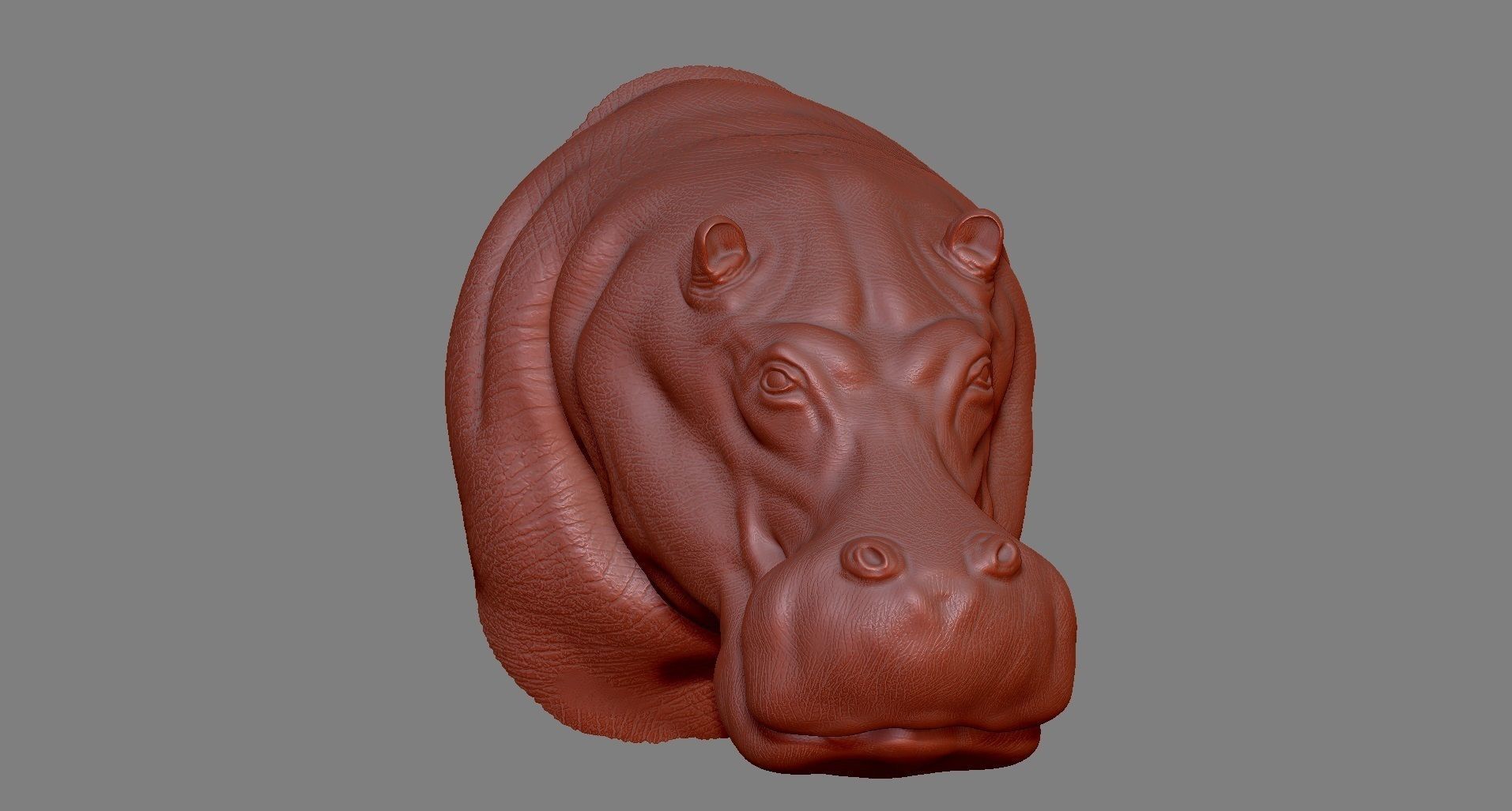 Hippopotamus Head 3D print model_7
