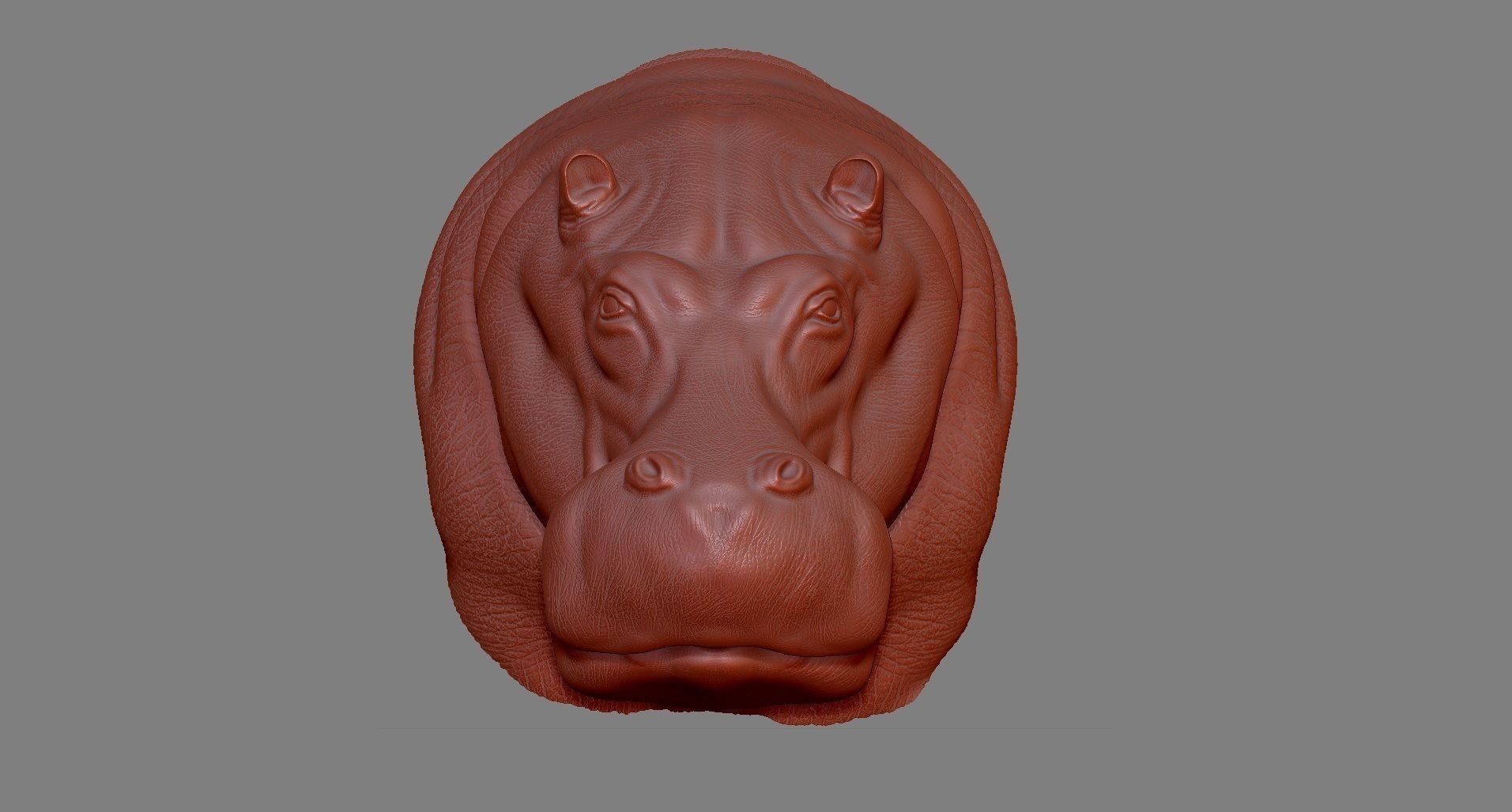 Hippopotamus Head 3D print model_2