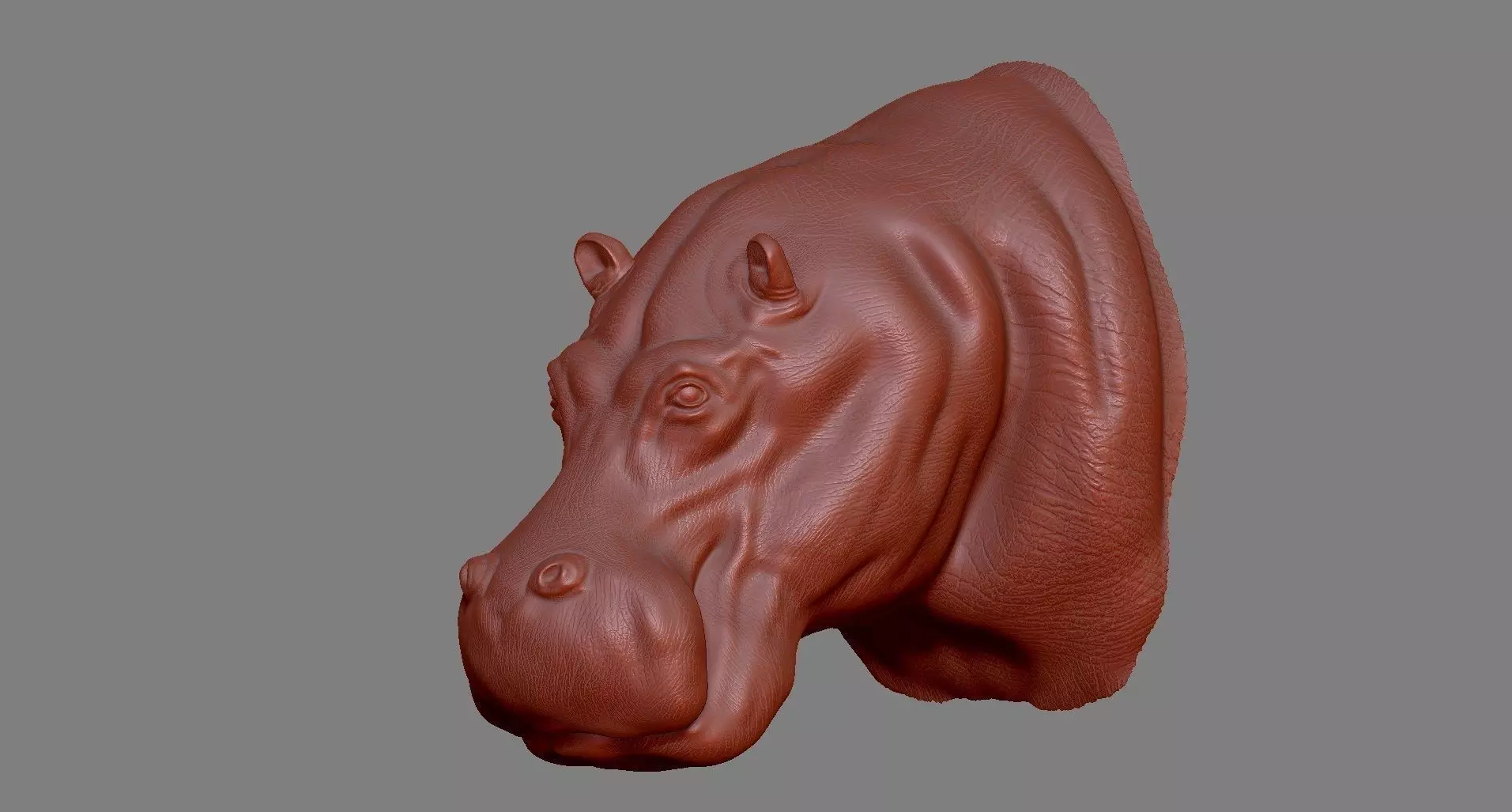 Hippopotamus Head 3D print model_0