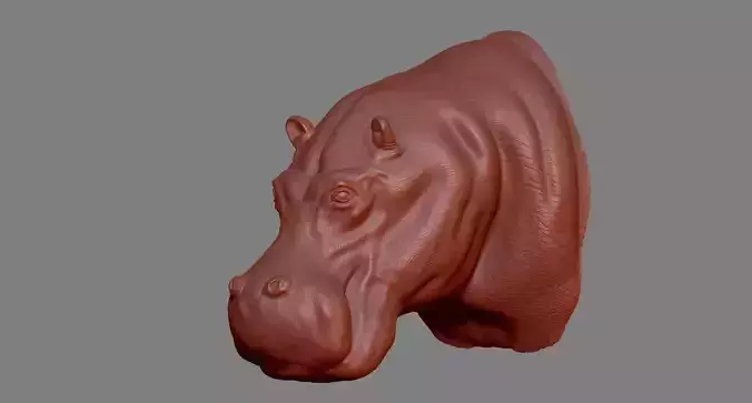Hippopotamus Head 3D print model