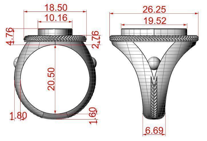 Ring dollar 3D print model_13