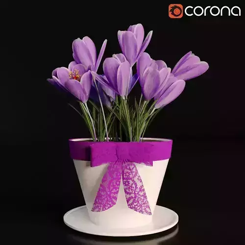 Pot with Crocuses 3D model
