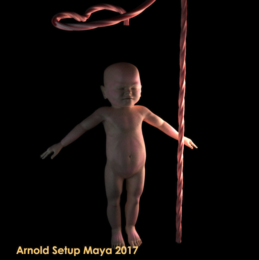 Mature Stage Fetus with Joints 3D model_1