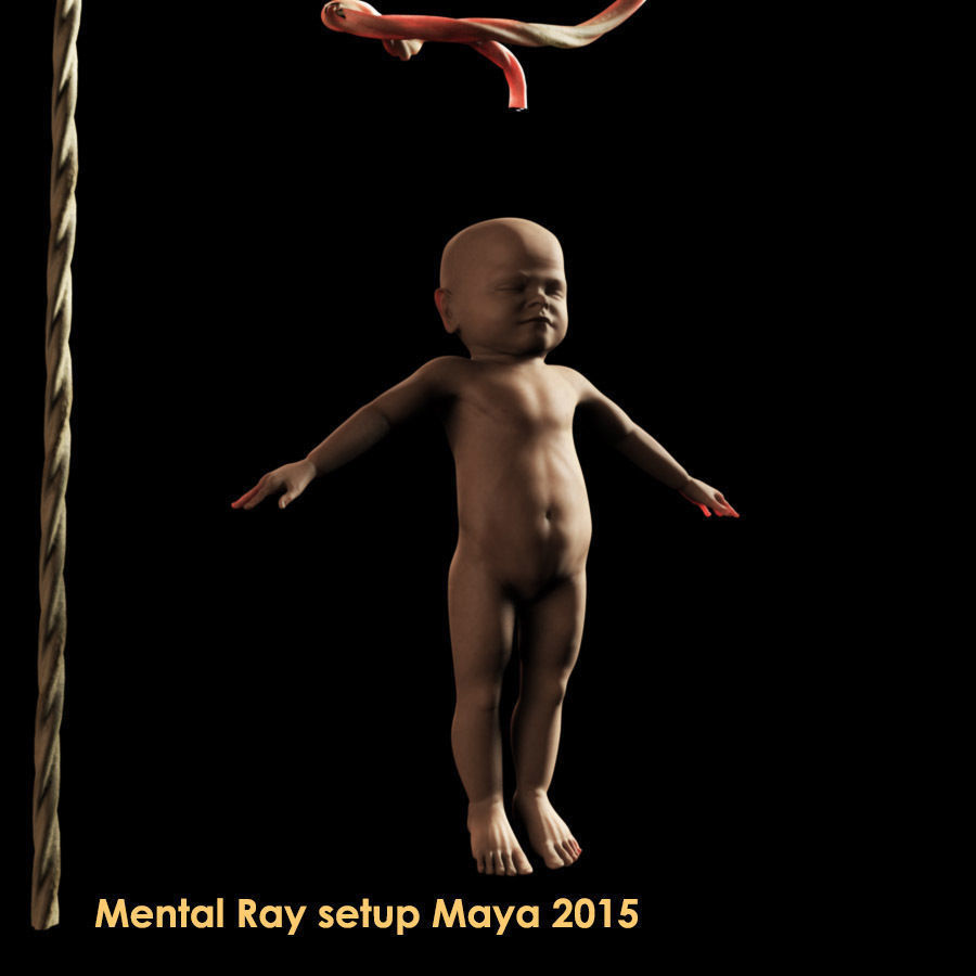 Mature Stage Fetus with Joints 3D model_2