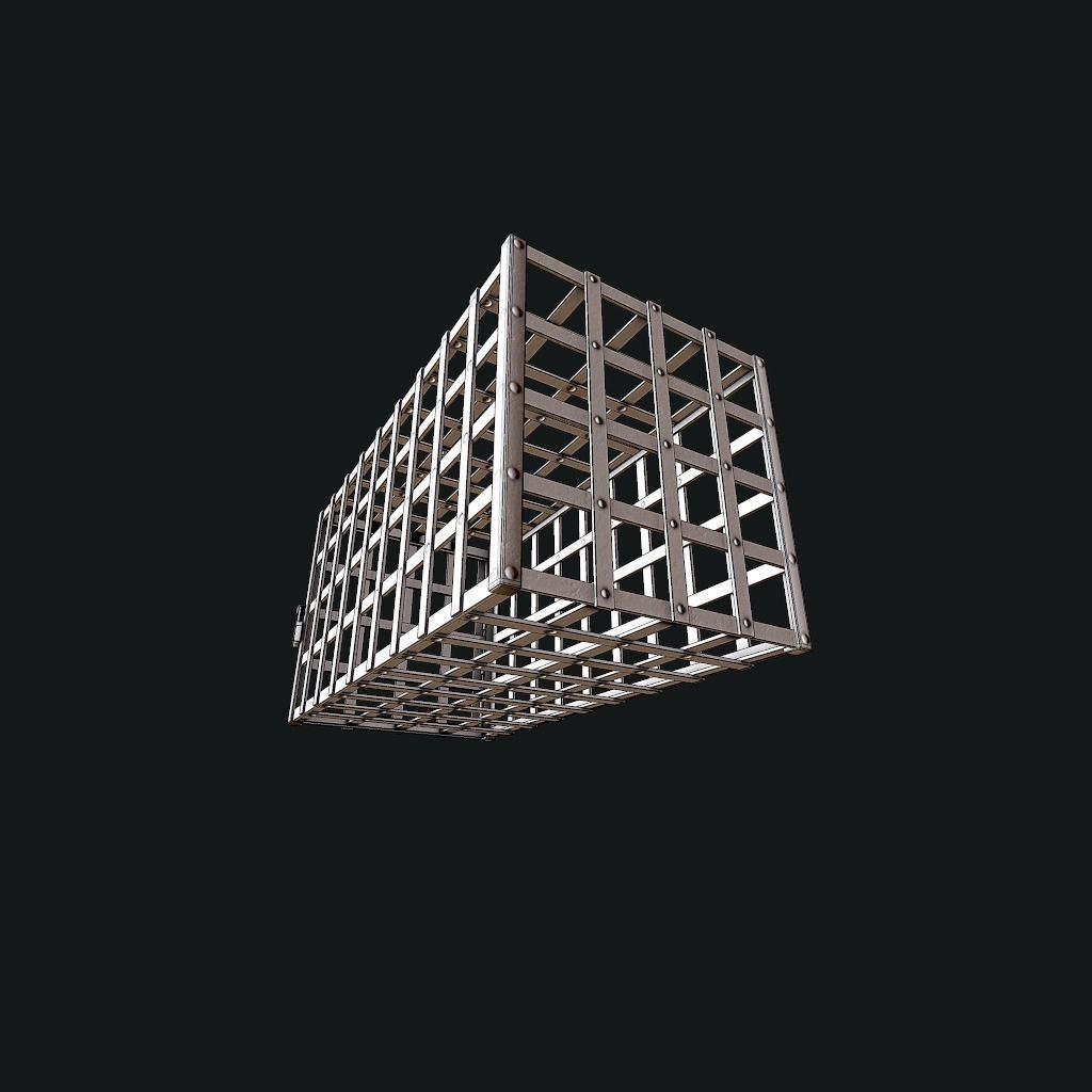 Cage pbr Low-poly 3D model_11