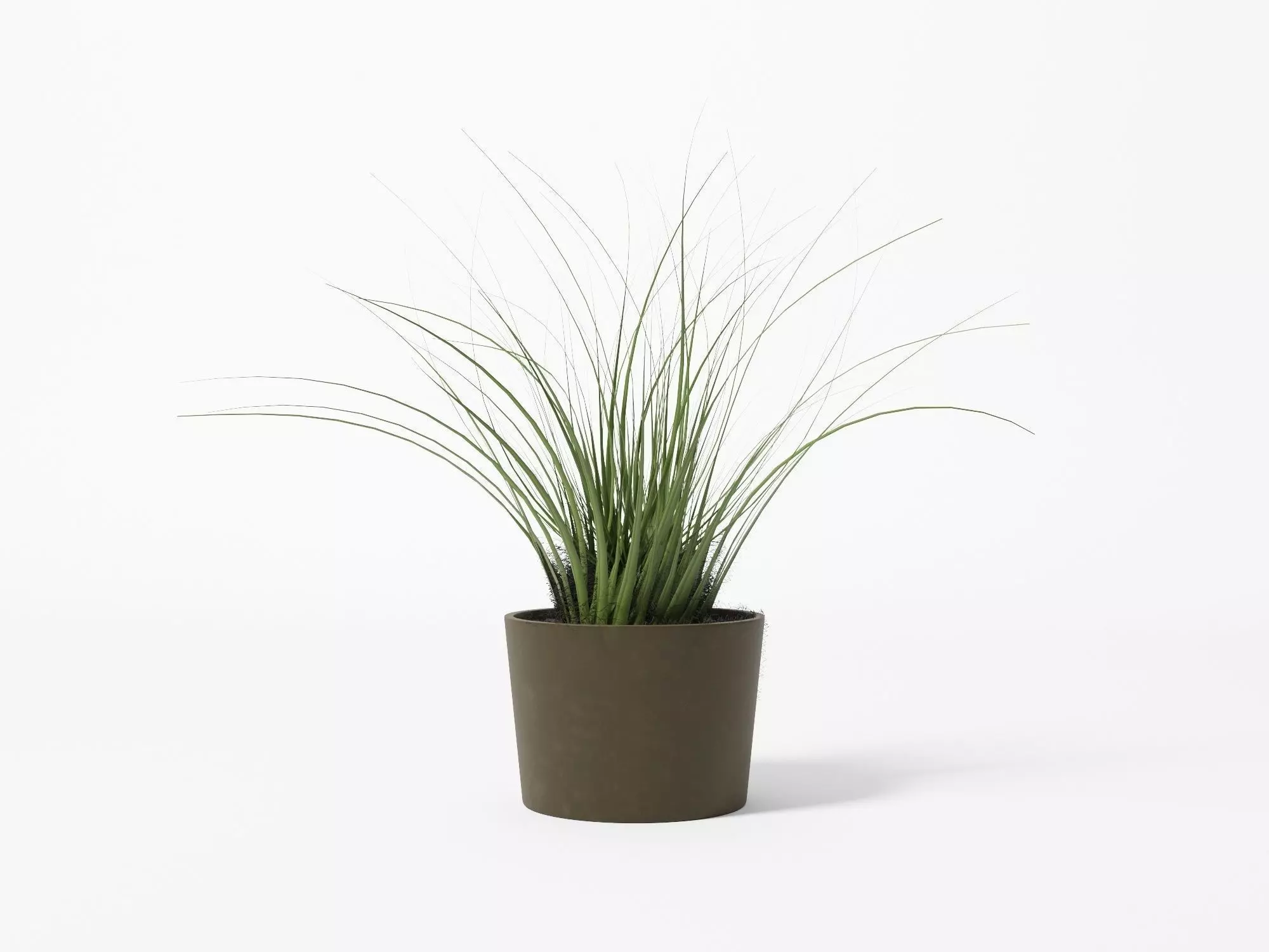 Bush - Pot - Plant Free 3D model