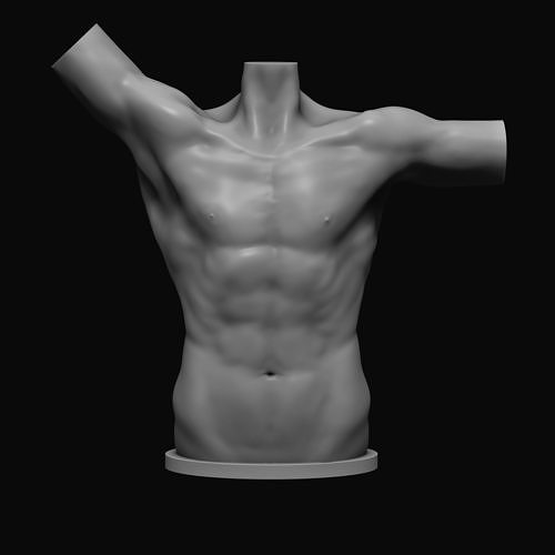 Male torso 3D print model