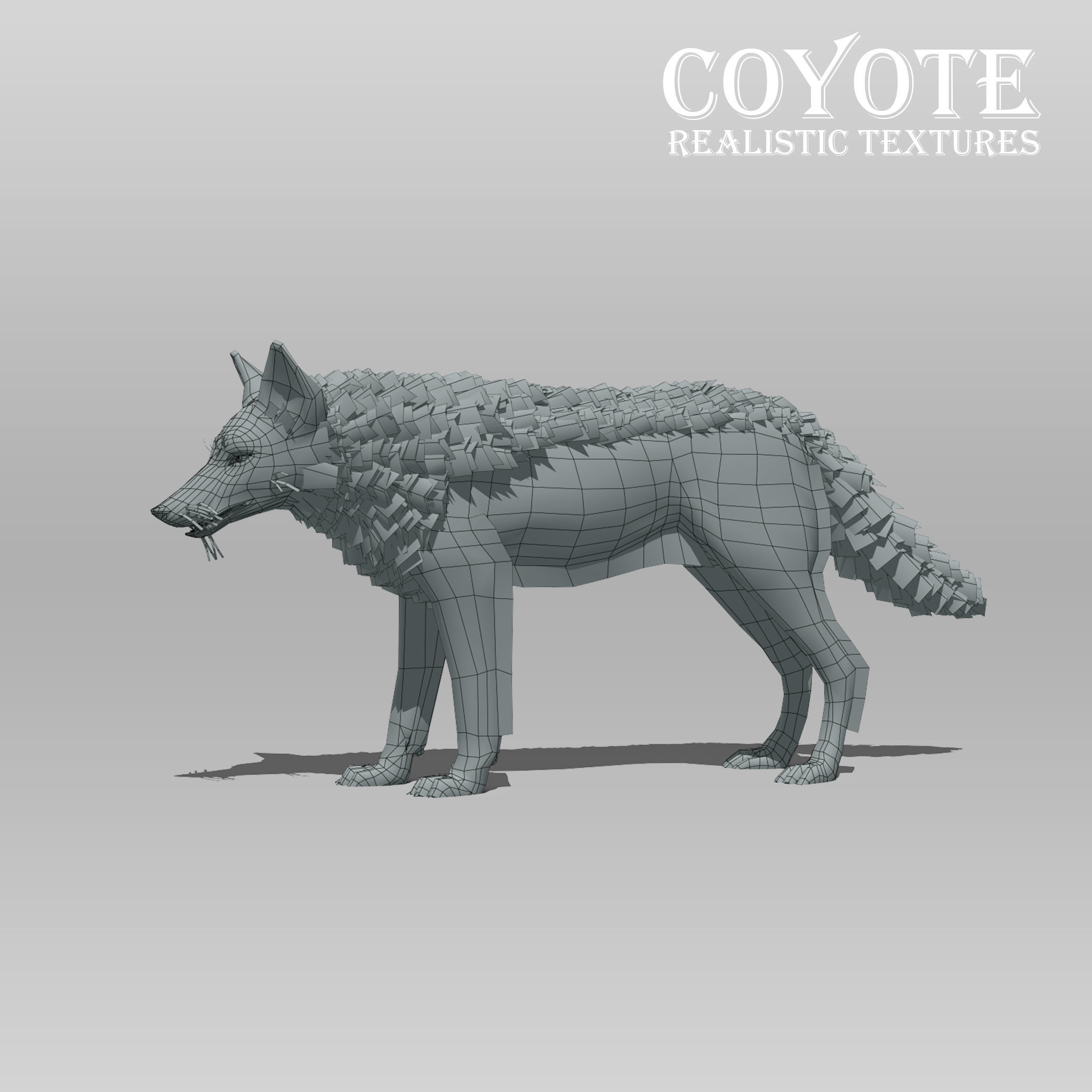 Coyote Animated Low-poly 3D model_7