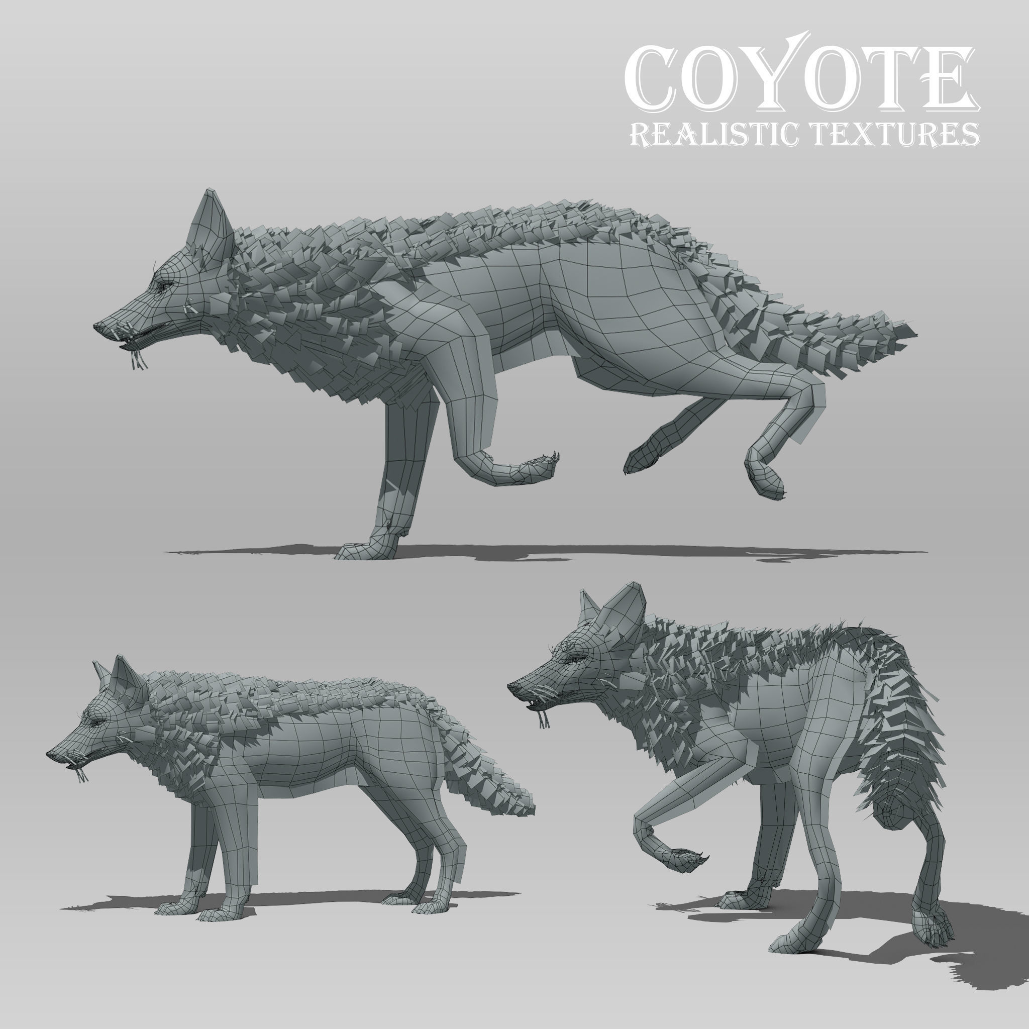 Coyote Animated Low-poly 3D model_8