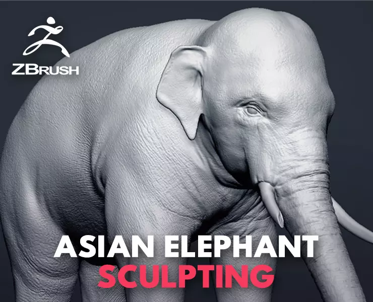 Asian Elephant Sculpt 3D model