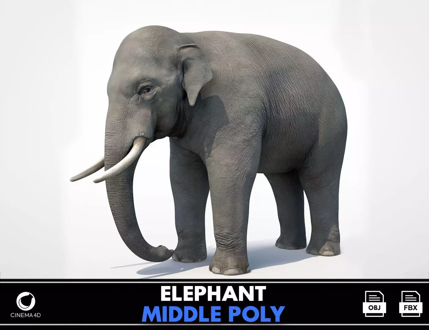 Asian Elephant Low-poly 3D model_0