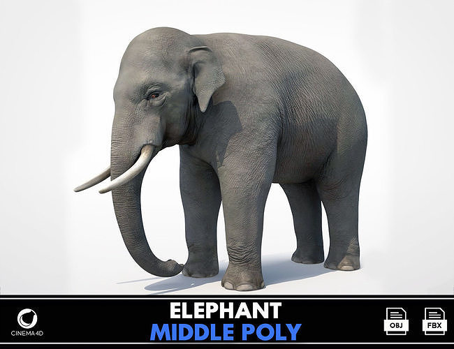 Asian Elephant Low-poly 3D model