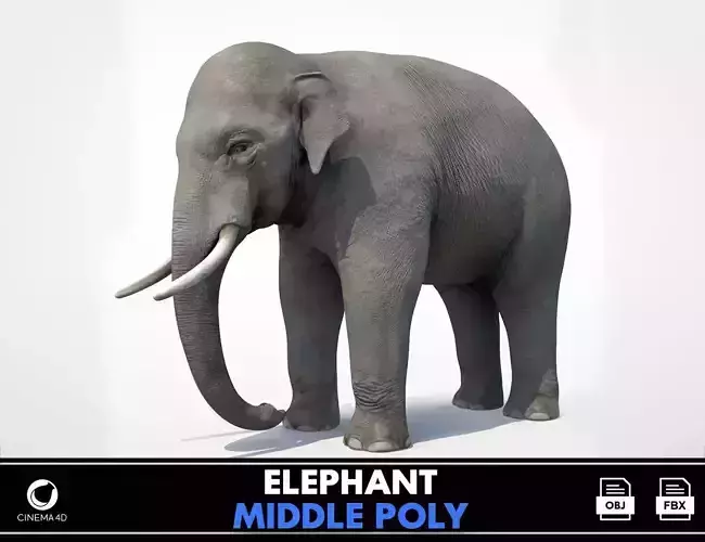 Asian Elephant Low-poly 3D model