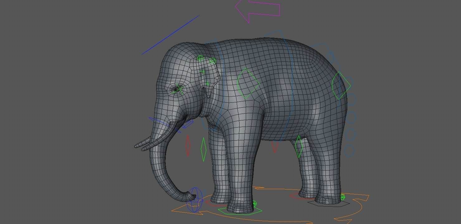 Asian Elephant Low-poly 3D model_11