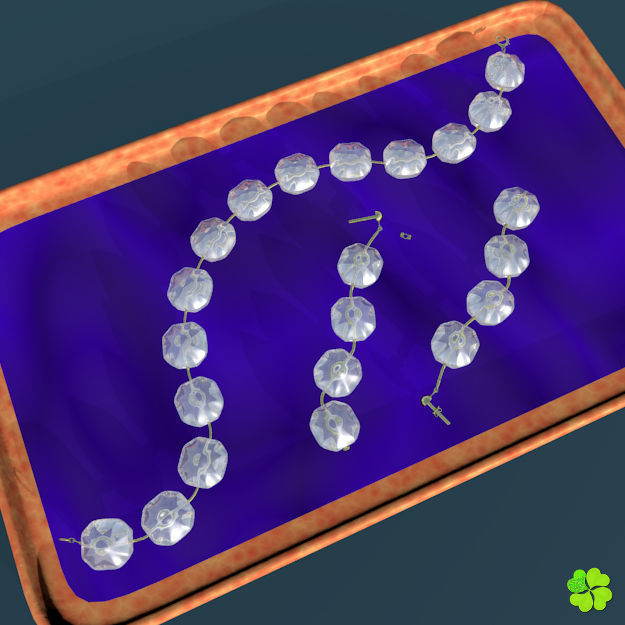 Earrings and bracelet with display box rigged low poly Low-poly 3D model_4