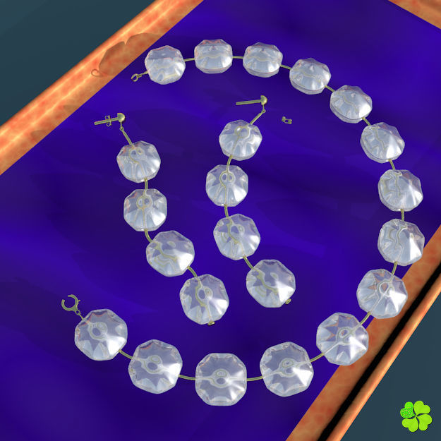 Earrings and bracelet with display box rigged low poly Low-poly 3D model_8