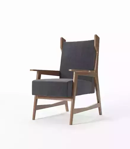 Poltrona di Gio Ponti