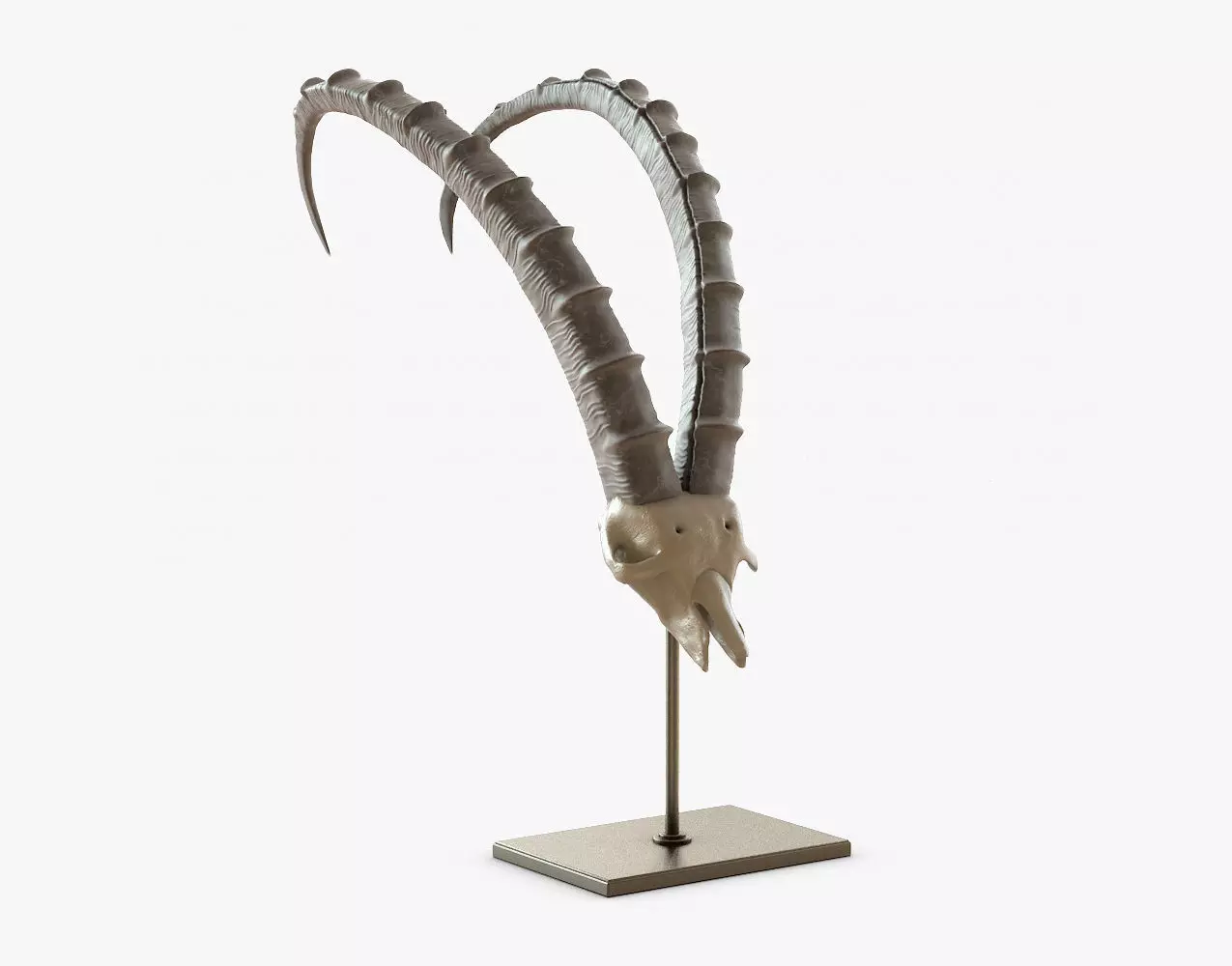 Sculpture DB001102 Dialma Brown 3D model