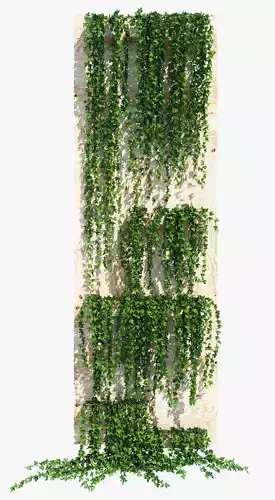 Planter box ivy 3D model