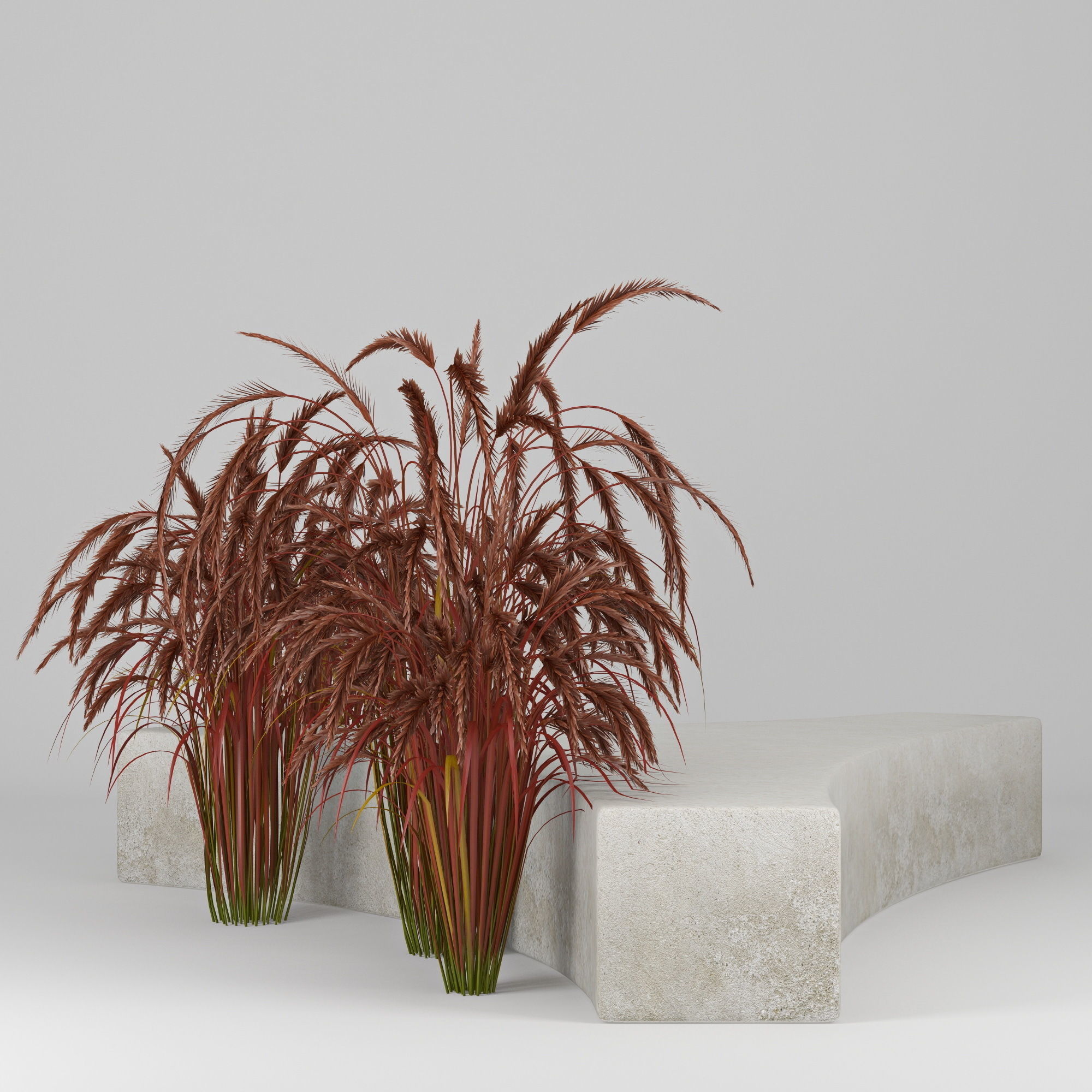 Folia bench Graceful Fountain Grass 3D model_7