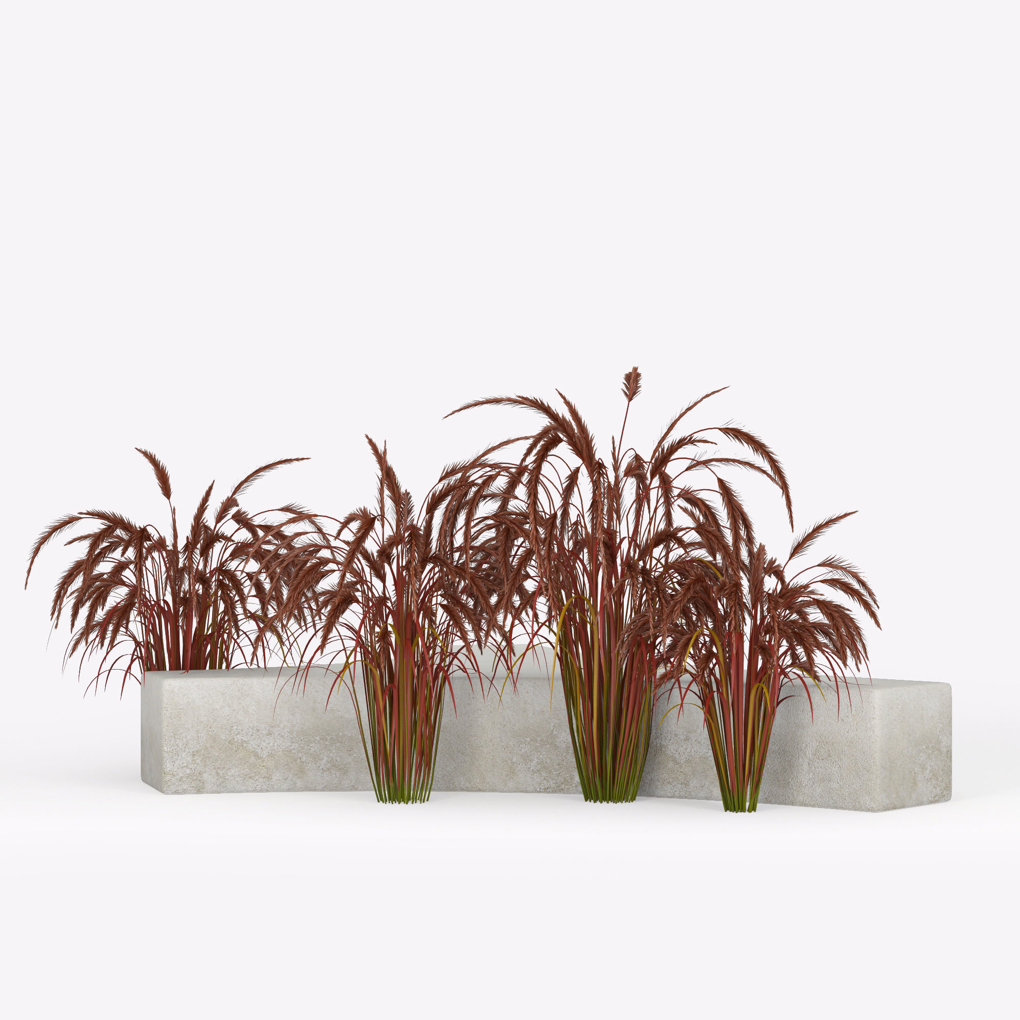 Folia bench Graceful Fountain Grass 3D model_2
