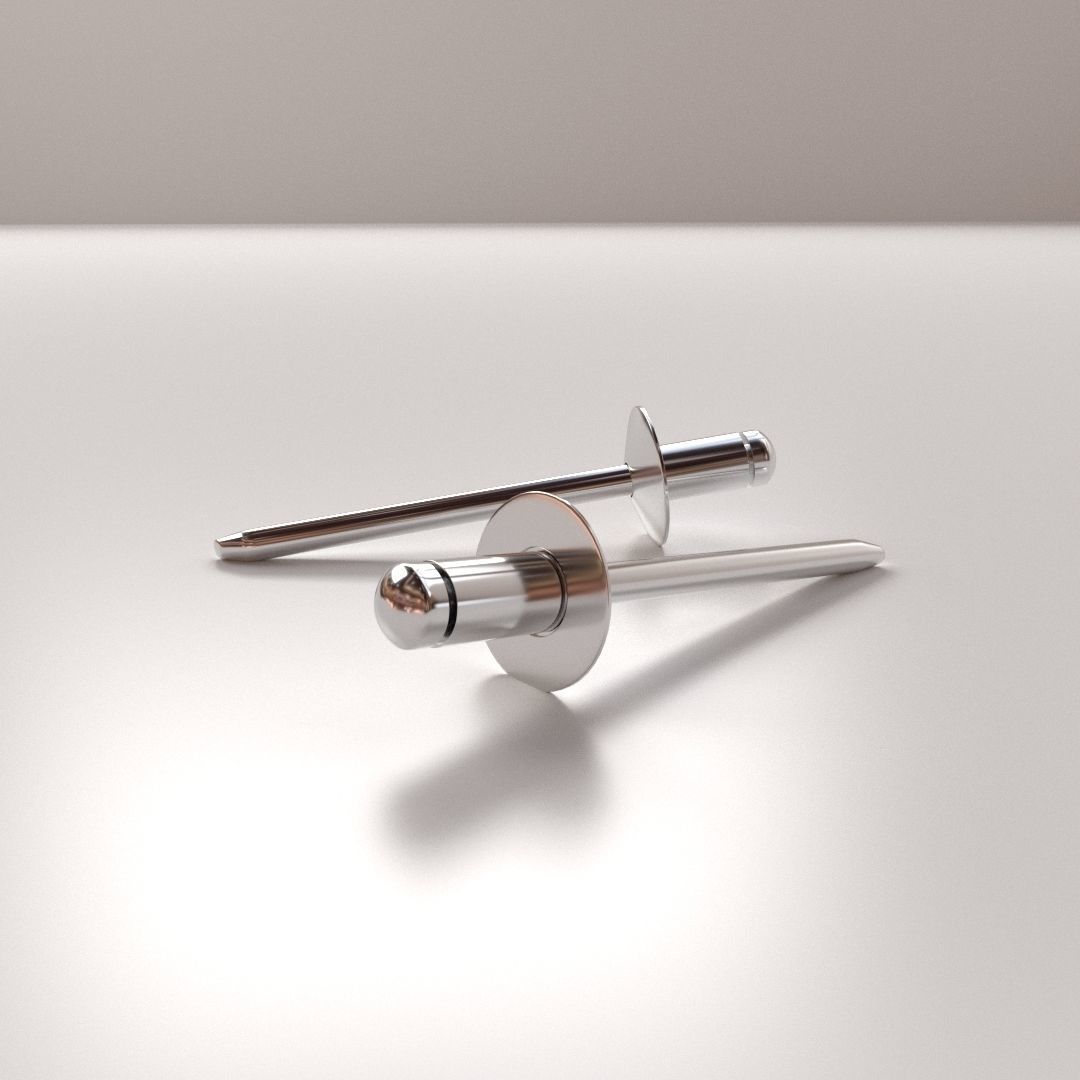 Rivet pair of silver nail pins 3D model_1
