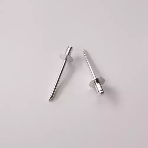 Rivet pair of silver nail pins 3D model