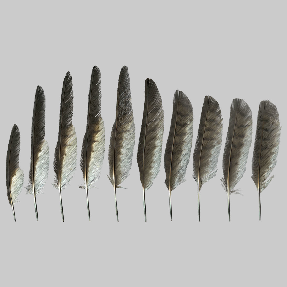 Feather Pack Low Poly Game ready Low-poly 3D model_3