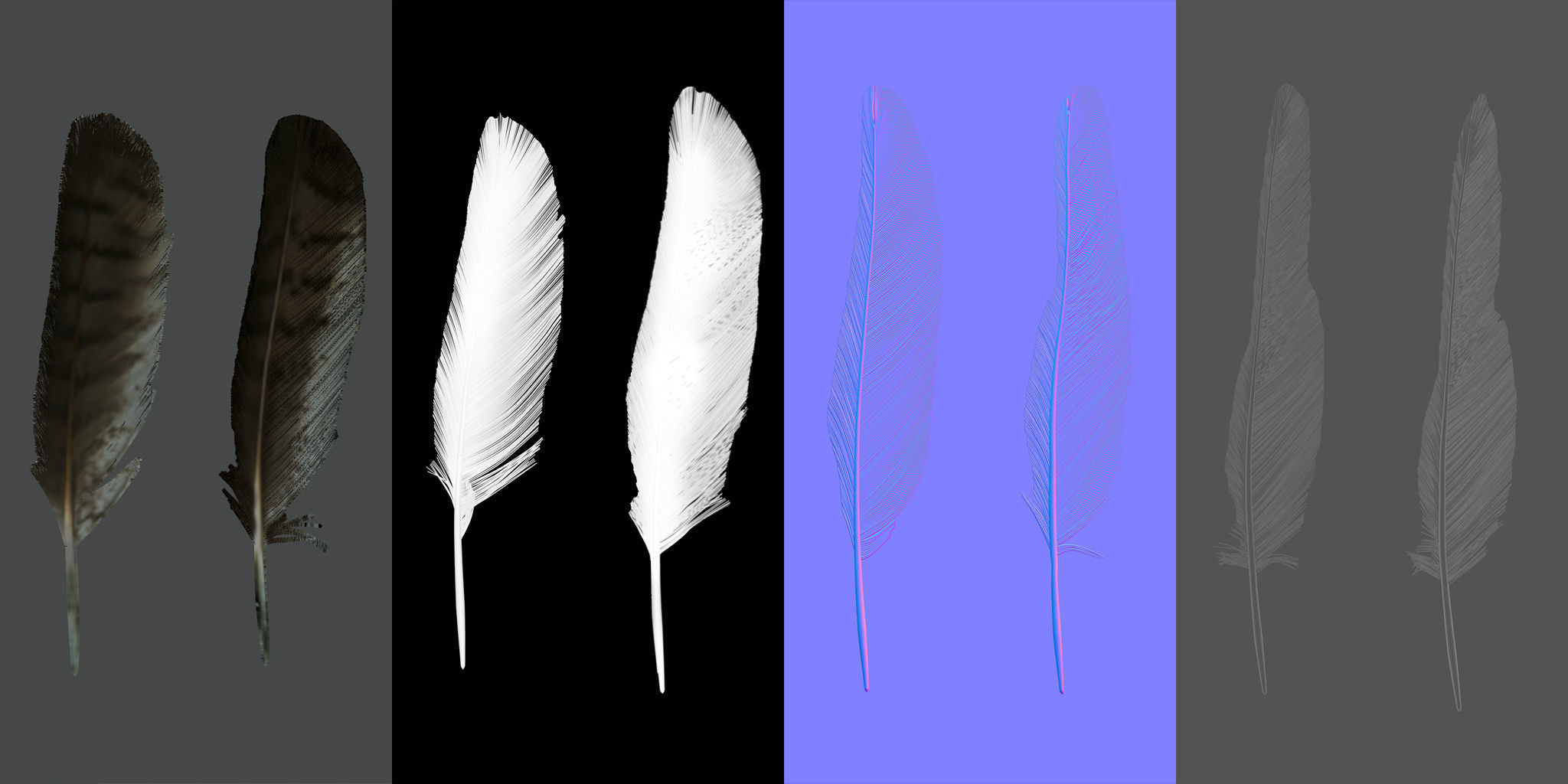 Feather Pack Low Poly Game ready Low-poly 3D model_5