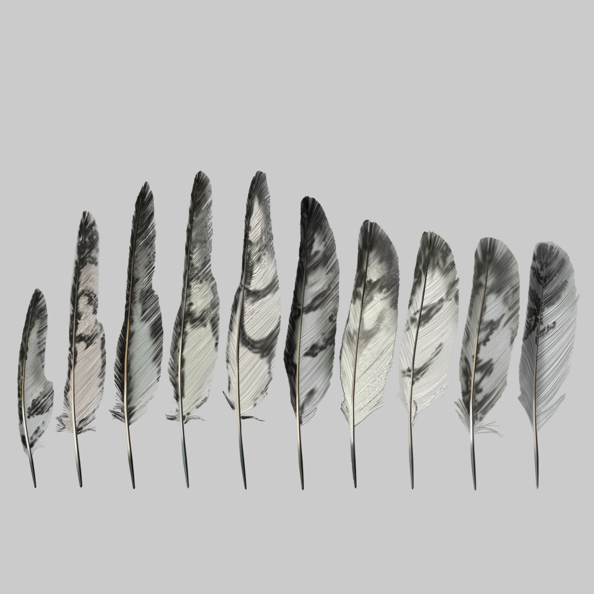 Feather Pack Low Poly Game ready Low-poly 3D model_1
