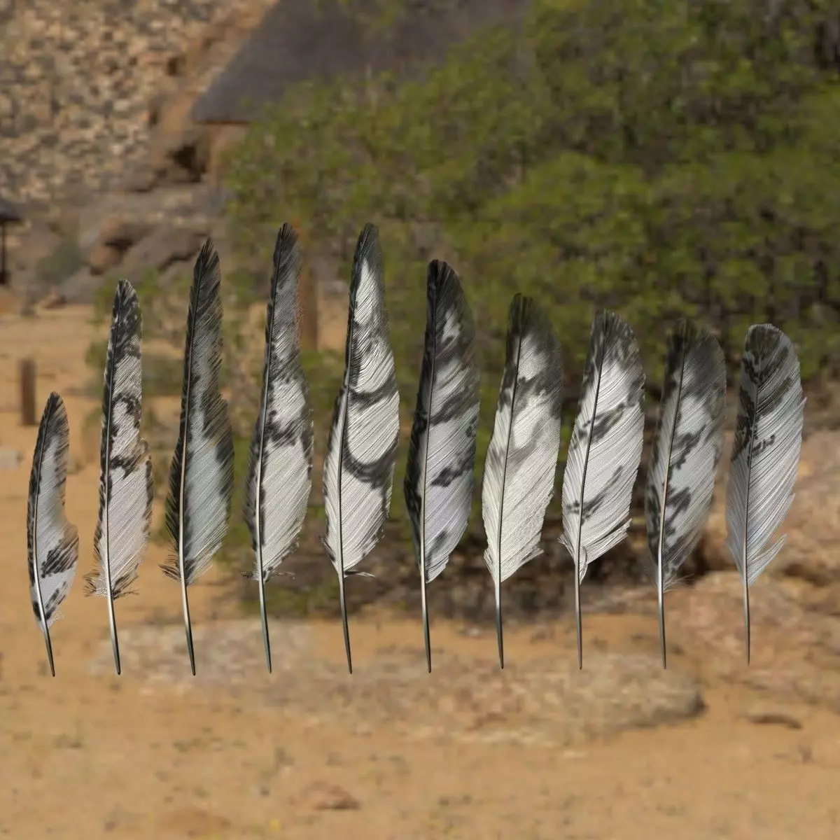 Feather Pack Low Poly Game ready Low-poly 3D model_0