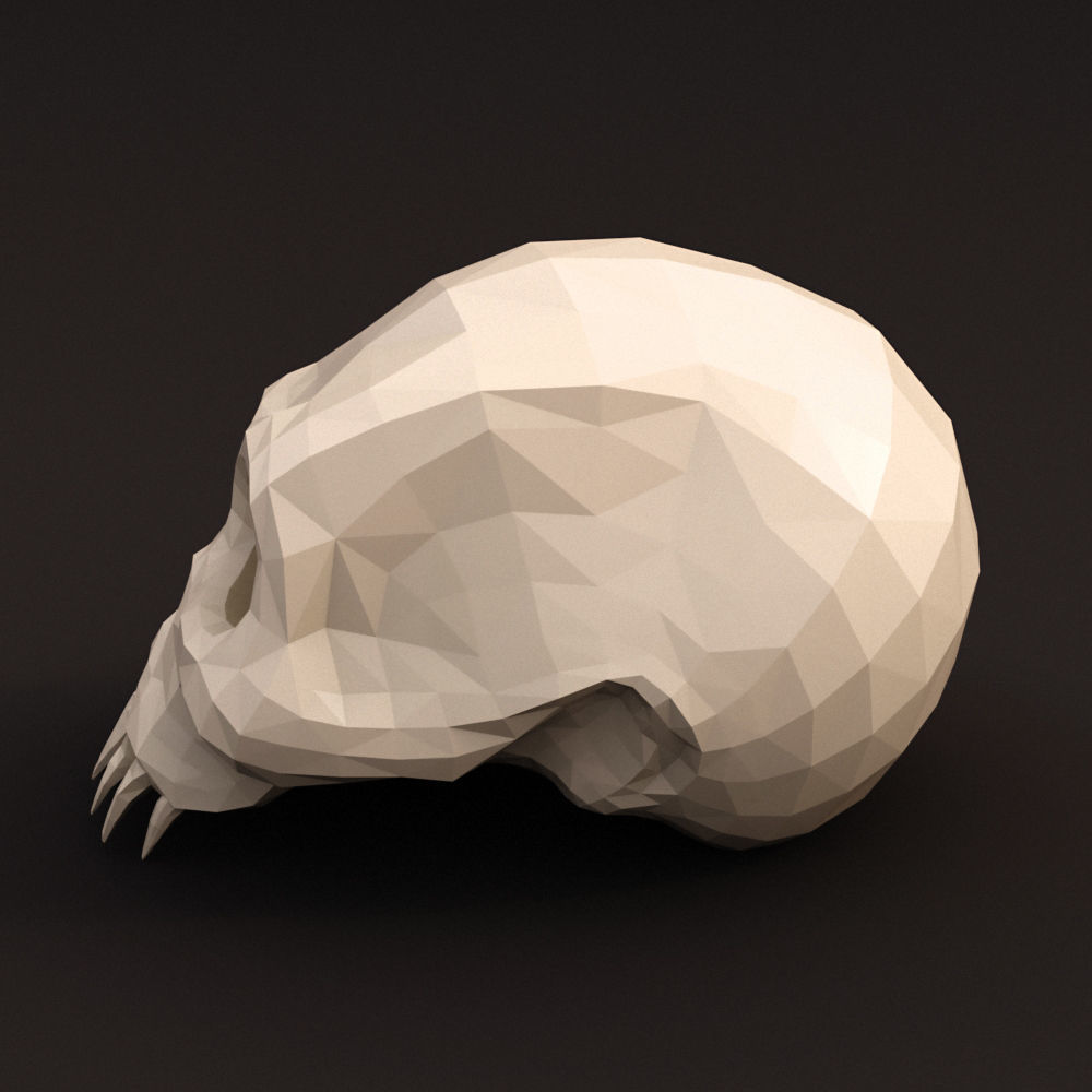 Low Poly Skull Low-poly 3D model_1