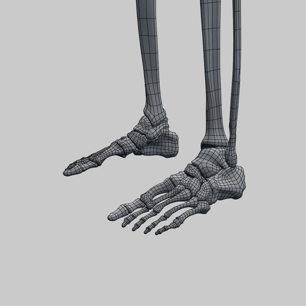 Plastic skeleton 3D model_9