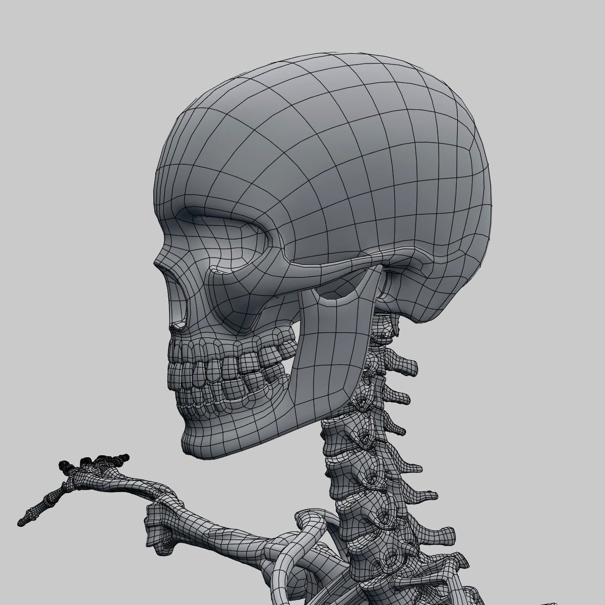 Plastic skeleton 3D model_6