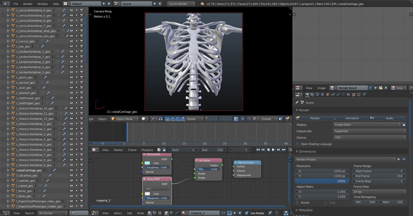 Plastic skeleton 3D model_12