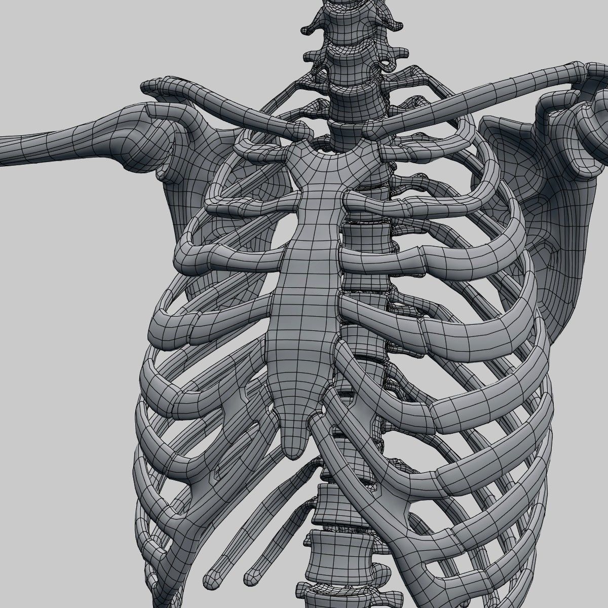 Plastic skeleton 3D model_7